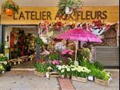 florist shop for sale