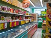 established discount grocery general