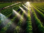 water infrastructure pump specialist