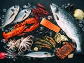 live lobster export seafood