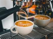 modern cafe for sale