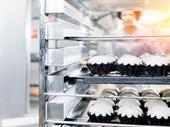 established wholesale gluten-free bakery