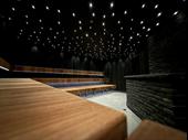 luxury cold plunge sauna