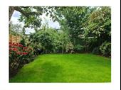 bring outdoor dreams to
