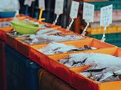 coming soon fresh seafood