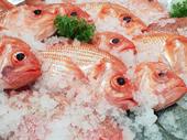 fresh seafood business easy