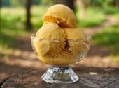 premium ice cream dessert