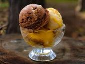 premium ice cream dessert