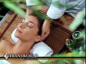 industry-leading wellness franchise for