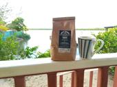 premium coffee shop turnkey