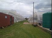 fully automated commercial greenhouse
