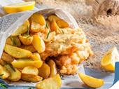 south coast best seafood