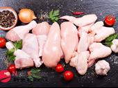 poultry shop--craigieburn--1p11327 for sale