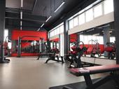 high potential functional fitness