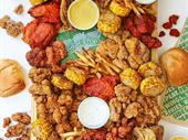 established wingstop portfolio the