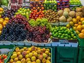fruit veg + grocery