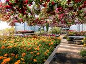 garden centre