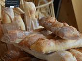 established cuban bakery tampa