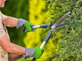 horticultural garden maintenance business