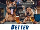well established online dog