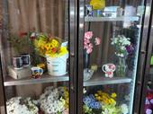 turnkey-well-established flower shop for