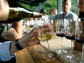 boutique wine cellar on