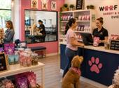 modern pet grooming busines