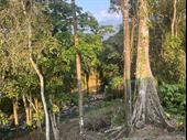costa rica hot springs