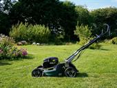 established landscaping snow removal