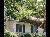 home-based restoration remodeling business