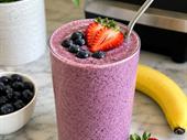 busy profitable protein smoothies