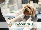 profitable pet grooming spa