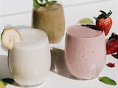 profitable protein smoothies cafe