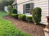 3113 niche landscaping business
