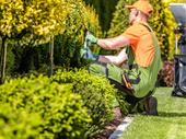 absentee landscaping company with
