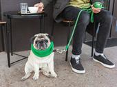 one-of-a-kind dog-friendly café community
