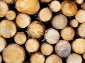 custom log home timber