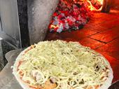 established profitable pizza burger