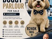 profitable doggy salon kleinmond
