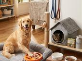 established pet care business