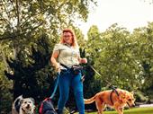 lifestyle dog walking business