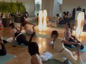 premium beauty wellness yoga