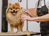 pet grooming salon sutherland