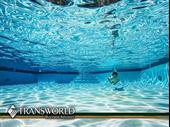 well-established pool service business