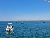 business for sale marine