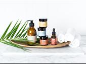 premium wellness brand professional
