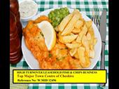 iconic high turnover fish