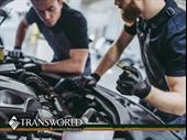 established automotive business for