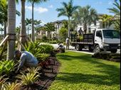 tampa bay landscape irrigation