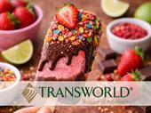 popular gourmet popsicle dessert
